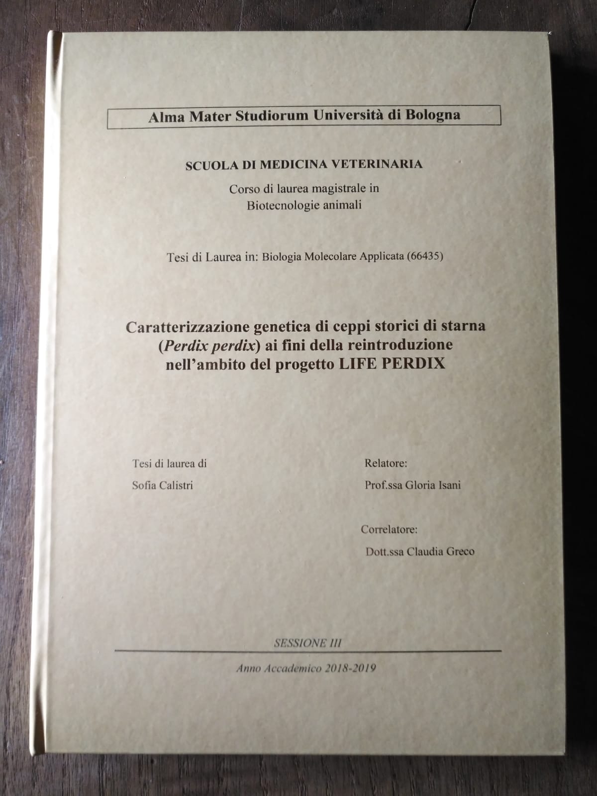 Tesi Di Laurea Educazione Di Comunità